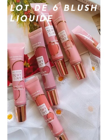 Lot de 6 Blush liquide -Effet bonne mine assuré à petit prix-123 Cosmé