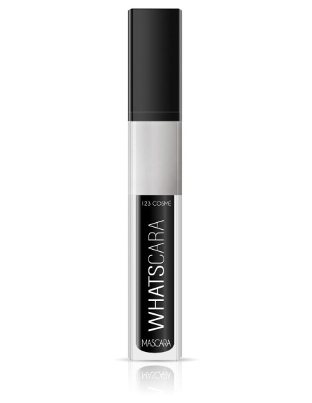 Mascara snapscara noir pas cher