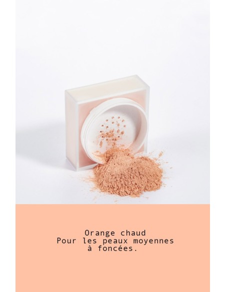 Poudre Libre Mate fixante|8 couleurs pour un teint parfait|123 Cosmé