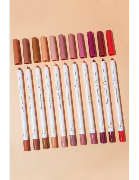 12 couleurs de crayons à lèvres